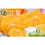 訳あり S~2Lサイズ混合 果物 くだもの