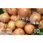 たまねぎ 10kg