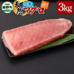 訳あり 天然まぐろ 赤身 3kg