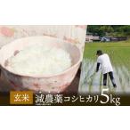 令和8年産 稲穂に農薬不使用 コシヒカリ玄米5kg