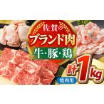 佐賀のお肉焼肉セット 牛肉 豚肉 鶏肉 HCW005