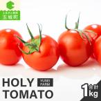 HOLY TOMATO
