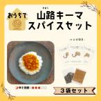 スパイスカレー スパイスカレー専門店 山路
