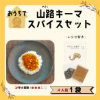 スパイスカレー 1セット