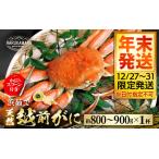 越前がに 800g~900g 1杯