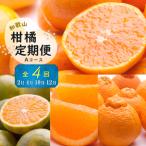 季節の柑橘定期便A _ZH7020