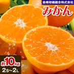 みかん 約10kg