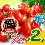 ミニトマト アイコ 約2kg