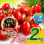 ミニトマト アイコ 約2kg