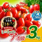 ミニトマト アイコ 約3kg