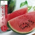 小玉 スイカ 1kg