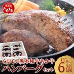 あか牛 100% ハンバーグ 120g×6個