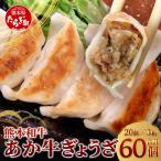 熊本和牛 あか牛 ぎょうざ セット 和牛 冷凍