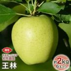 葉取らずふじ 園主選抜の特選りんご 青森