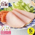 SZ0241 東北日本ハム ロースハムスライス 20枚