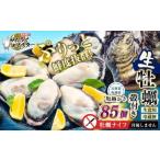 坂越かき 殻付き85個 牡蠣 カキ 貝
