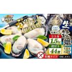 坂越かき むき身 約500g×3パック