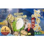 生食用 真牡蠣 ぷりみ 約4kg