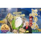 生食用 真牡蠣 ぷりみ 約5kg