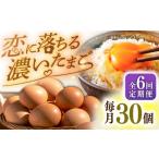 fu.... налог [ установленный срок рейс ]6 раз яйцо Tama . специальный отбор элемент прямой .. Tama .30 шт [JAP020] установленный срок Nagasaki префектура .. город 