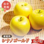 りんご シナノゴールド 5kg