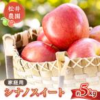 りんご シナノスイート 5kg