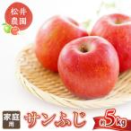 りんご サンふじ 約5kg