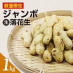 ジャンボ生落花生 1kg