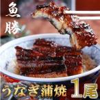 中 うなぎ蒲焼 1尾〈約160g〉_ 海産物