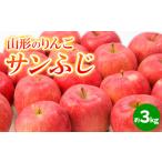 ふるさと納税 山形のりんご サンふじ 秀品 約3kg(6〜12個) FY24-209 山形県山形市