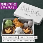 ティラノ 恐竜サブレ缶 大 クッキー大