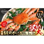 天然 越前がに 大サイズ 1杯
