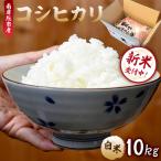 コシヒカリ白米10kg