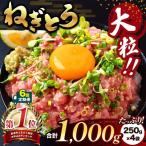 清幸丸水産 大 ねぎとろ 1000g