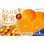 みかん 訳あり 愛果48号 約5kg