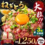 清幸丸水産 大 ねぎとろ 250g×5袋