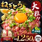 清幸丸水産 大 ねぎとろ 250g×5袋