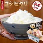 産コシヒカリ白米10kg 5kg×2袋
