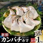 新鮮カンパチ カマ 約1kg