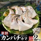 新鮮カンパチ カマ 約2kg