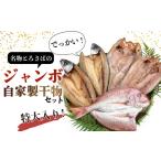 干物 特大 セット とろさば 真ほっけ 天然鯛