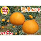 愛果48号 小玉 2kg