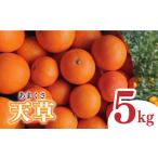 天草 小玉 5kg