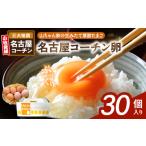 fu.... налог [ гора Chan дом. сырой . длина фолиевая кислота Tama .] Nagoya Coach n яйцо (30 штук входит )[132Y01] свежий Tama . прямая поставка от производителя Tama . большая вместимость высококлассный Tama . земля курица.. префектура Aichi город Komaki 