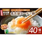 fu.... налог [ гора Chan дом. сырой . длина фолиевая кислота Tama .] Nagoya Coach n яйцо (40 штук входит )[132Y02] свежий Tama . прямая поставка от производителя Tama . большая вместимость высококлассный Tama . земля курица.. префектура Aichi город Komaki 