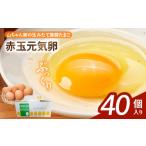 fu.... налог [ гора Chan дом. сырой . длина фолиевая кислота Tama .] красный шар изначальный . яйцо (40 штук входит )[132Y06] свежий Tama . прямая поставка от производителя Tama . большая вместимость высококлассный Tama . земля курица Tama ... префектура Aichi город Komaki 