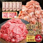 定期便 全5回 訳あり 飛騨牛 結旨豚 約2.3kg