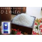 ふるさと納税 【精米�