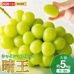 シャインマスカット 晴王 秀品 大房5kg