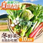 冬 野菜 おまかせ便10種 かとう旬菜畑直送